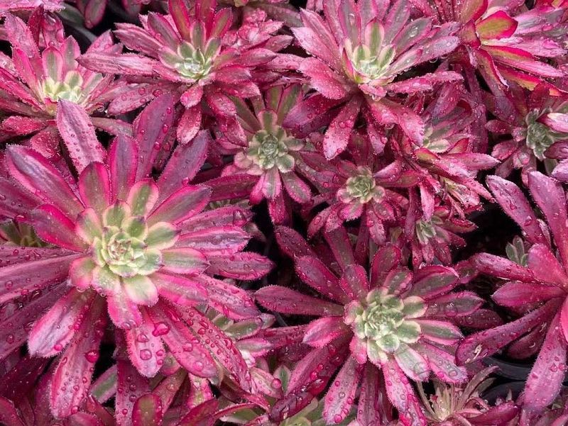 80cc303c1b547948d8bcc38f55a0738001001 80cc303c1b547948d8bcc38f55a0738001001